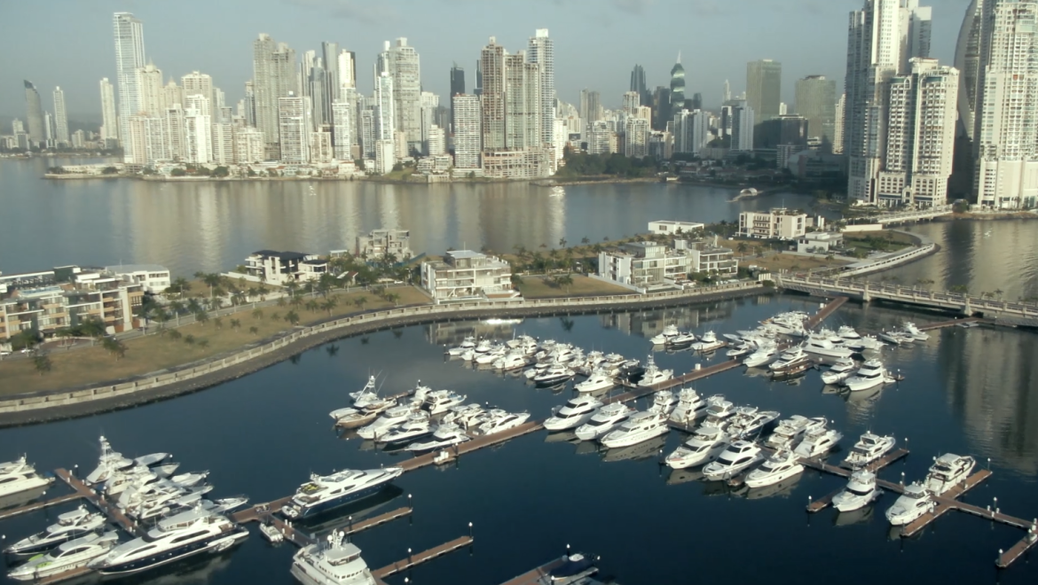 video image